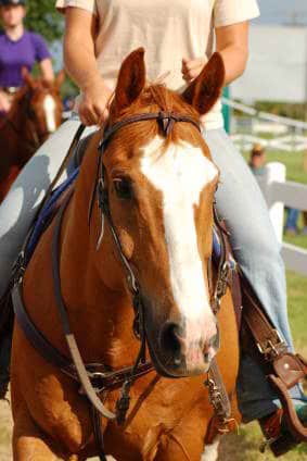 horse riding